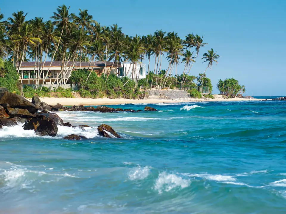Turquoise surf and leaning palms on a golden Sri Lankan beach