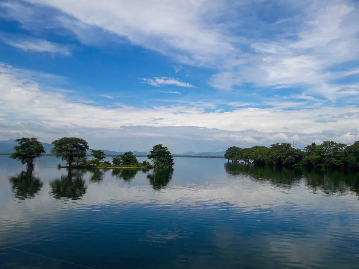 Dead trees standing in the still waters of the Udawalawe reservoir at dusk