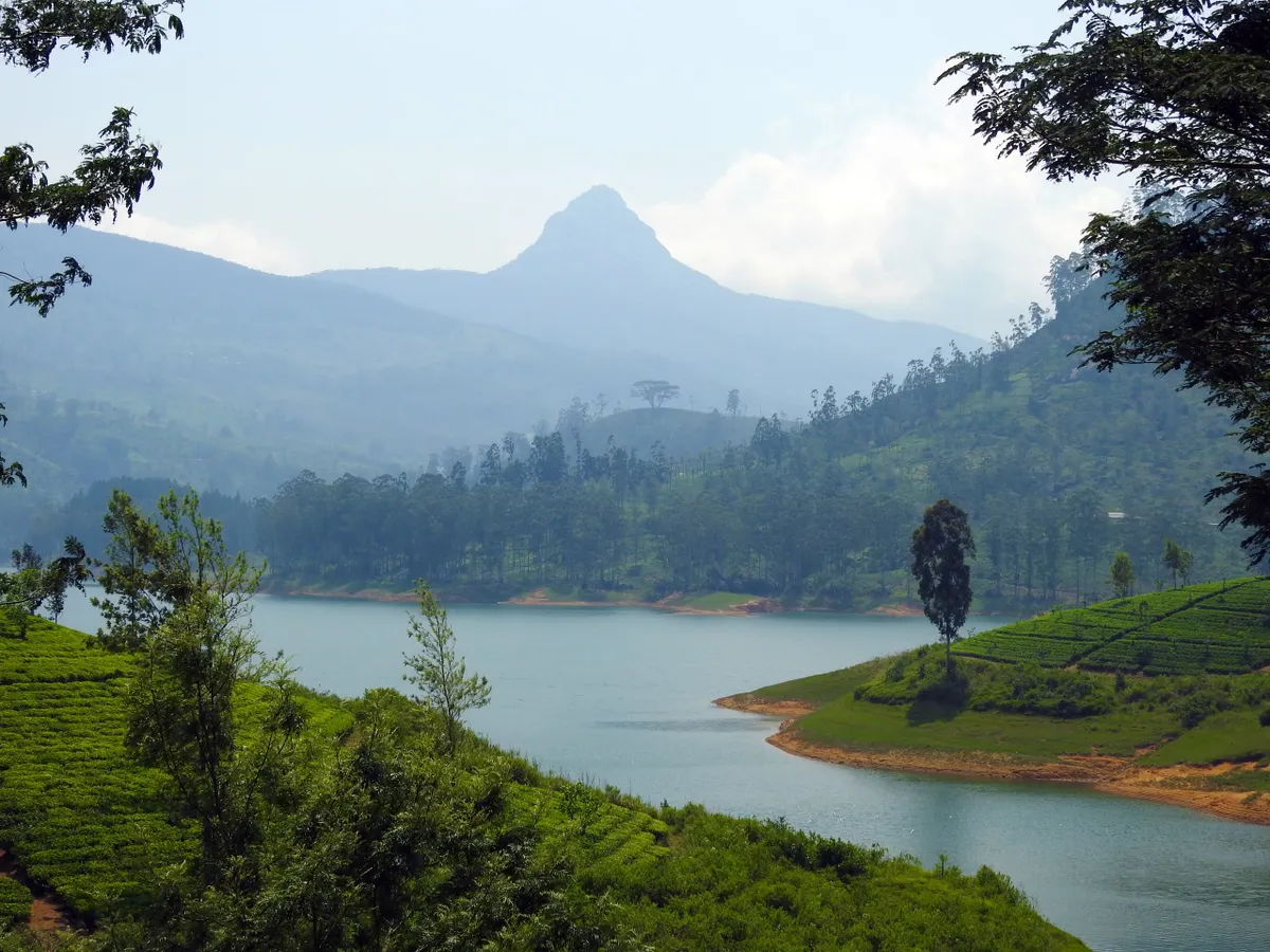 Adam’s Peak rising above the tea slopes and waters of the Maskeliya reservoir