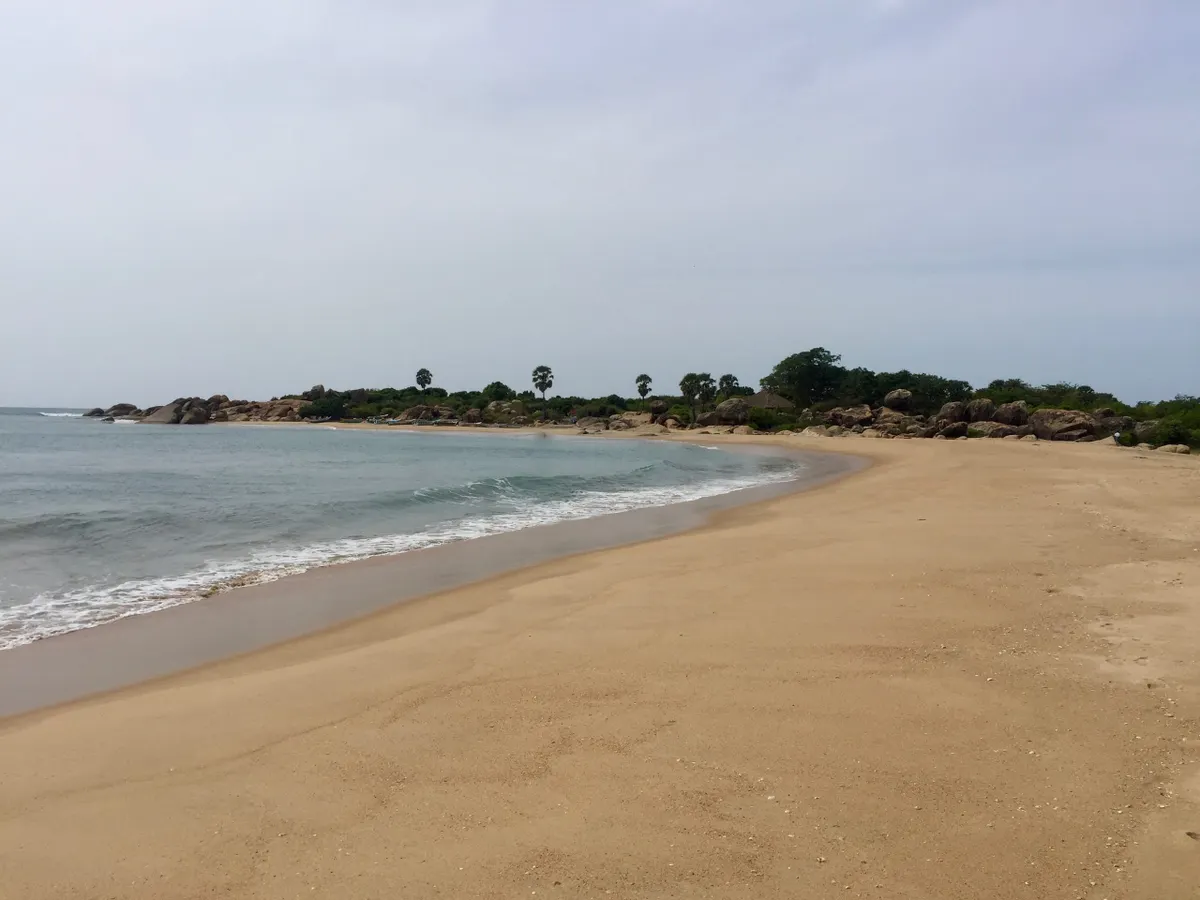 Surfers walking out towards the point at Arugam Bay’s golden main beach