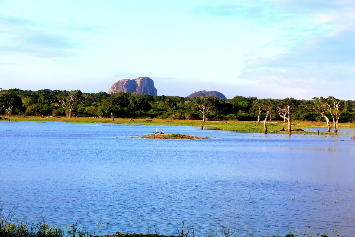Rock outcrops and lagoons across Yala's Block 1 landscape