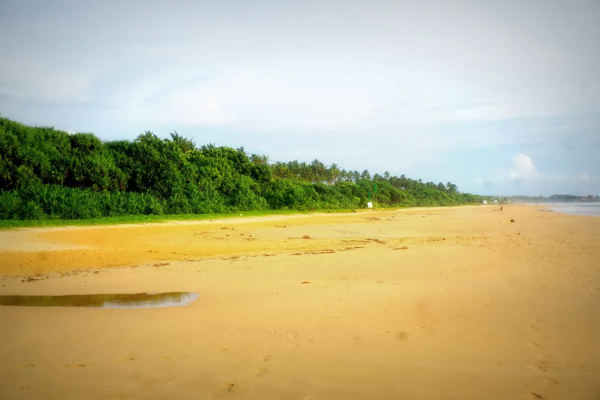 Calm water and golden sand along the Bentota strip
