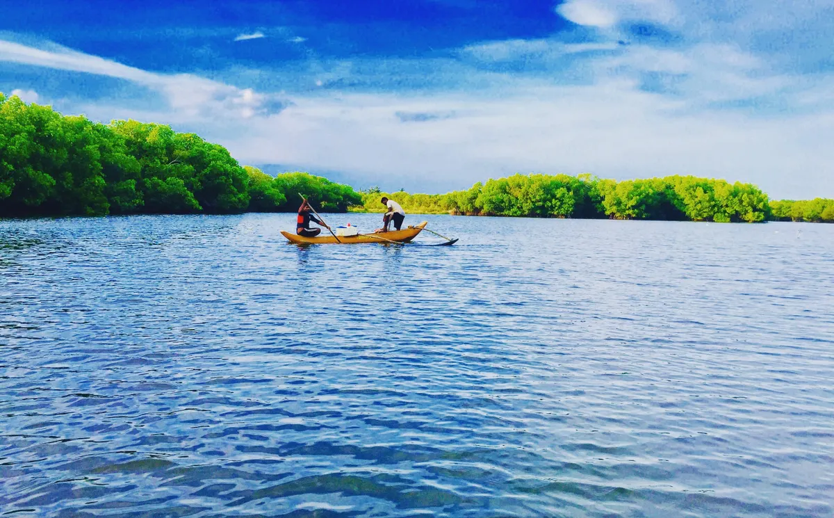 Fishermen’s outrigger canoes on the still mangrove lagoon near Arugam Bay
