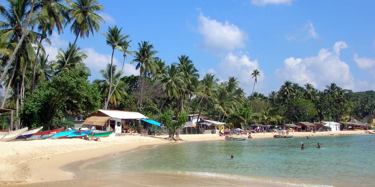 The sheltered swimming bay of Unawatuna fringed with palms