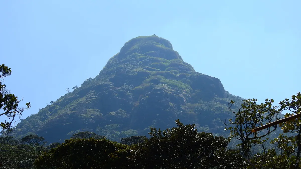 The sacred cone of Adam's Peak (Sri Pada) rising above the forest