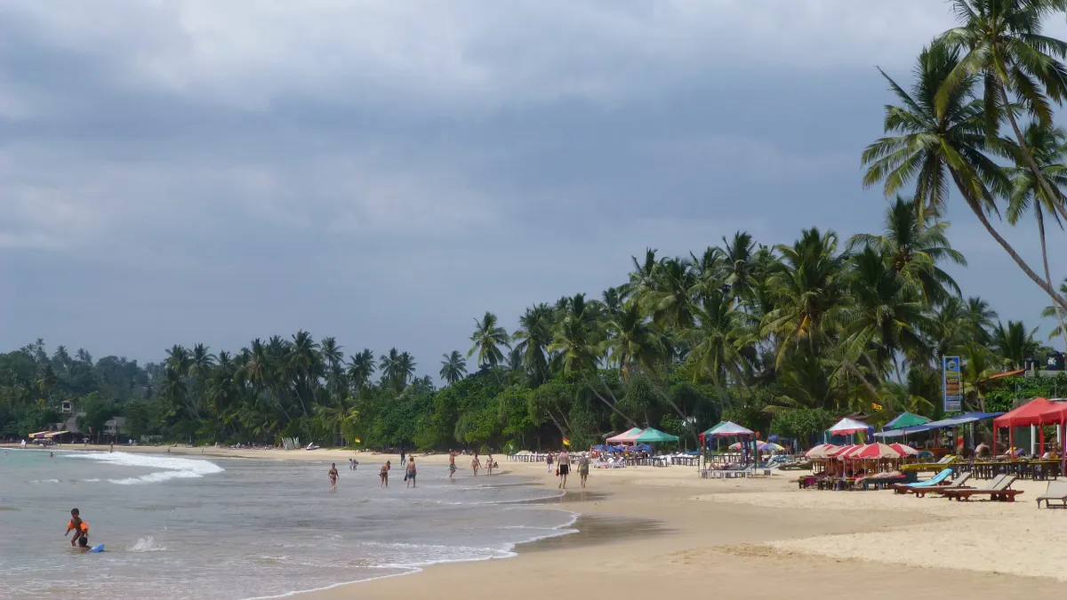 The golden crescent of Mirissa beach lined with palms
