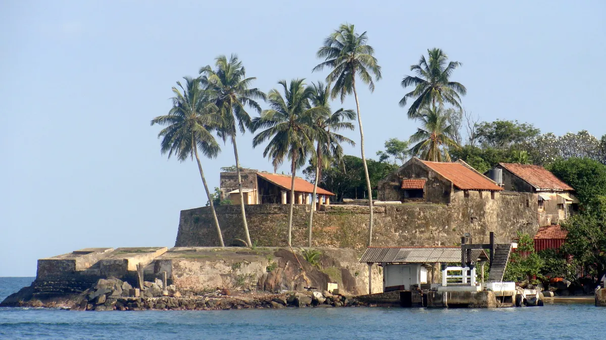 The seaward walls of Galle Fort crowned with coconut palms