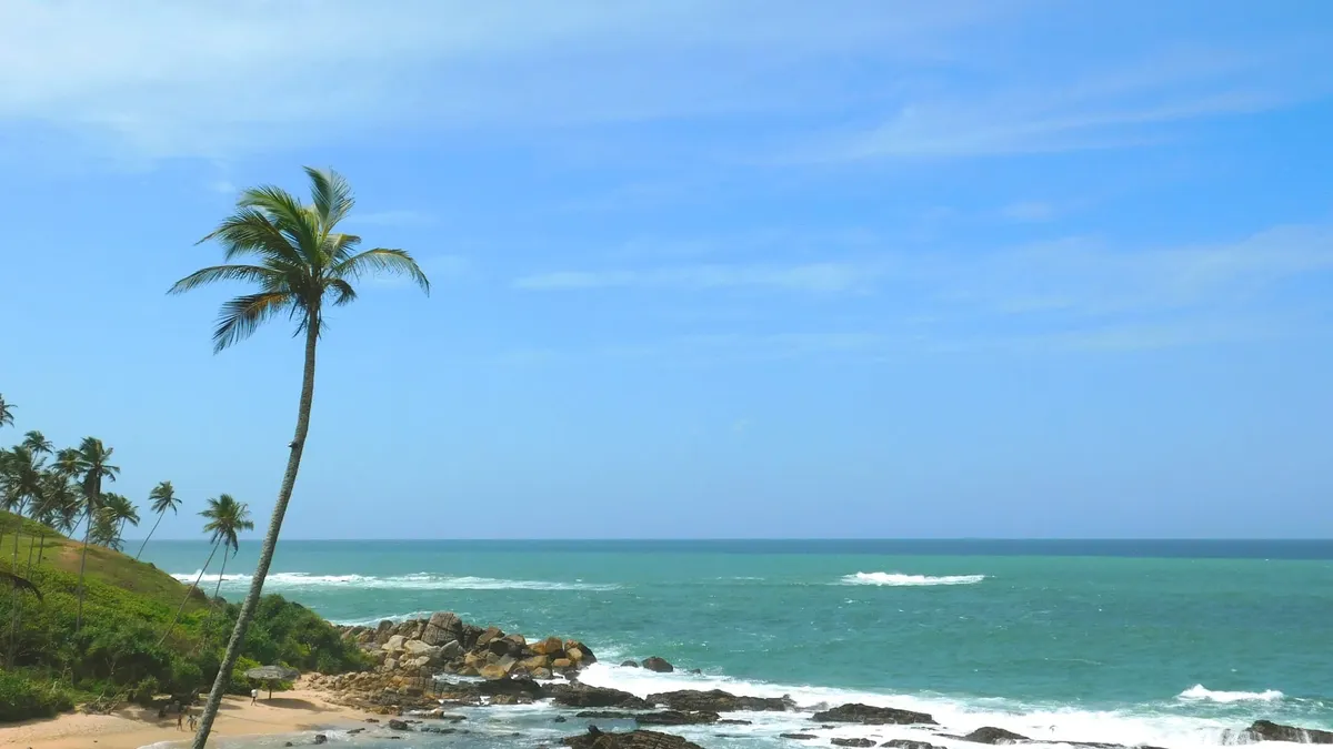 Whale watching in Mirissa