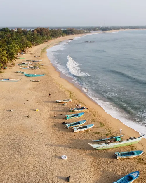 Arugam Bay