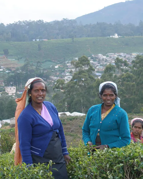 Nuwara Eliya
