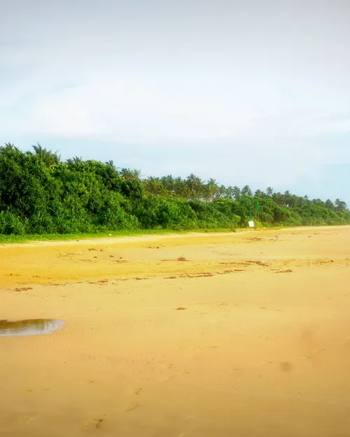 Bentota