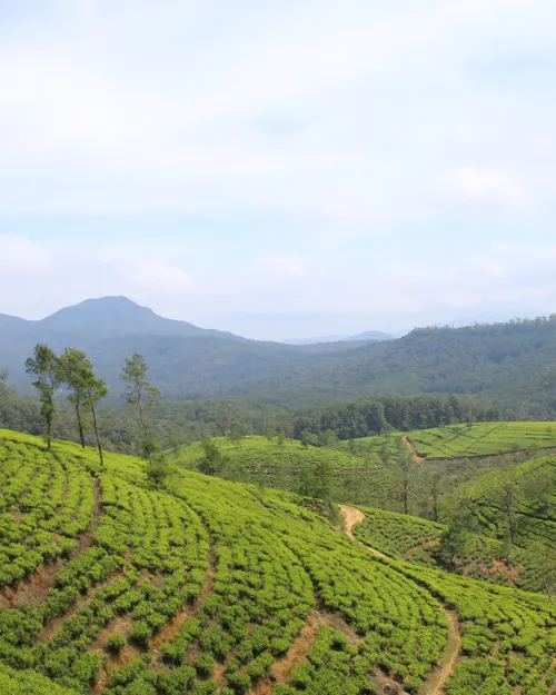 Nuwara Eliya