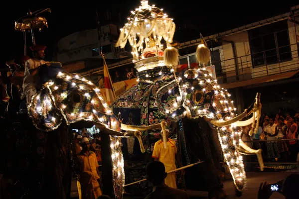 An illuminated tusker parading at the Kandy Esala Perahera