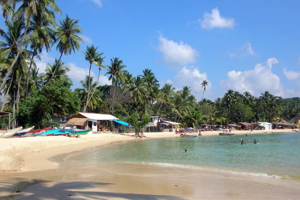 The sheltered swimming bay of Unawatuna fringed with palms