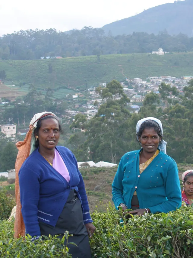 Nuwara Eliya
