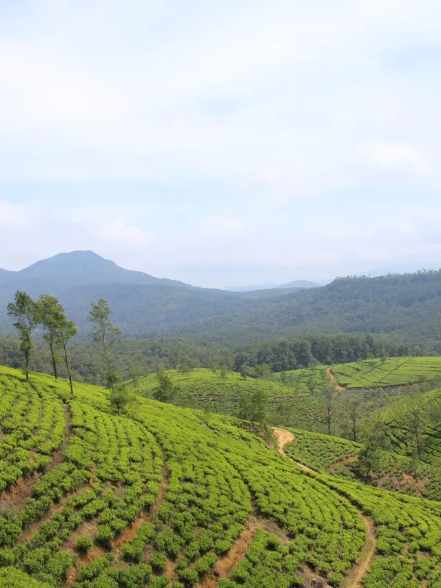 Nuwara Eliya